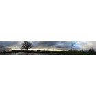 Roseville: Roseville