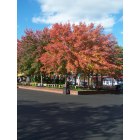 Maineville: Autumn in Kings Island Park...