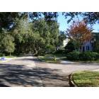 Tampa: New Suburb Beautiful, A South Tampa Neighborhood