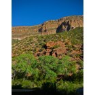 Jemez Springs: One morning in June as I stepped out my back door.