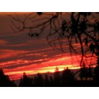 Pollock Pines: : Sunset from the rear Deck...