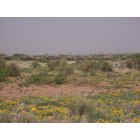 El Paso: EL PASO/WhiteSands Desert ->  I see Things there!!