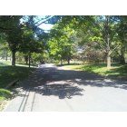 Wyckoff: Victor Way on a summer day
