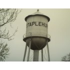 Staplehurst: staplehurst nebraska water tower