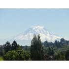 Tacoma: : Mt. Rainier as seen outside Point Defiance Zoo