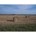 Crawford: Farming and Ranching just outside of Crawford, Texas