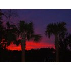 Florence: Colorful Palmetto Sunset - Florence, SC.