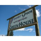 Effie: Forevergreen Greenhouse located in Effie Minnesota