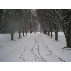 Matthews: snow in matthews (Beautiful Drive!)
