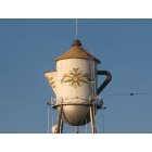 Kingsburg: Tea Pot Water Tank