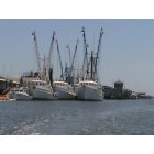 Holden Beach: shrimp boats of holden beach