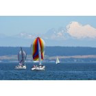 Oak Harbor: : Sailboats with Mt. Baker in the background