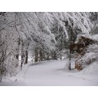Burnsville: Winter Wonderland