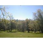 Mountain Ranch: The Place on Cave City Road