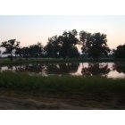 Delaware: Pasture behind WItty Dozer Shop