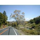 Mountain Ranch: Mountain Ranch