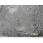 Harlan: snowed creek 2009