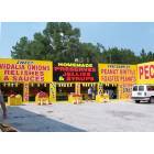 Vidalia: Along interstate: Vidalia onions, oranges and produce stand...convenient for busy travelers along the way