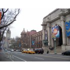 New York: : American Museum of Natural History