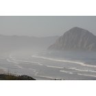 Morro Bay: : Lots to find on the beach