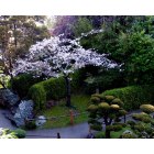 Las Vegas: Golden Gate Park