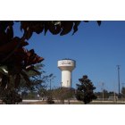 Niceville: This photograph was taken in 2003, from behind Niceville City Hall not long after the water tower was painted.