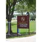 Elgin: Southwest Stallion Station. It has always been my dream to work there.