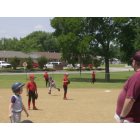 Pocola: Playing Tee Ball in the Summer