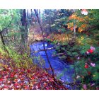 Gorham: The brook along our property