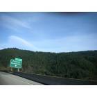 Dunsmuir: looking at dunsmuir woods from i-5