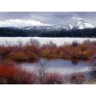Libby: Look Lake, part of Chain-of-Lakes State park 40 mile SW of Libby
