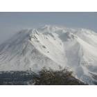 Mount Shasta: snowy mt. shasta
