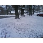 Russellville: : The street in front of my house on college avenue, russellville,al.