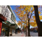 Grand Junction: : Autumn on Main Street