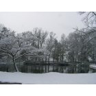 Jefferson: The perfect snowy pond on Jefferson River Road.