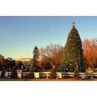 Washington: : National Christmas Tree
