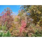 Oak Ridge: View of the fall colors from Emory Valley