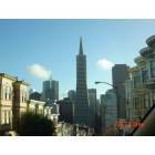 San Francisco: : Transamerican Building and Old Victorians