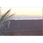 Newport Beach: Newport Beach Sunset