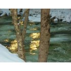 Stony Creek: sun on Roaring Branch