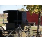 Ethridge: Amish buggy on a farm in Etheridge, TN