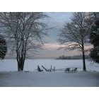 Shady Side: Winter Morning Beauty in My Cove