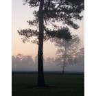 Jonesboro: Fall morning
