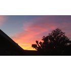 Fullerton: Backyard Sunset