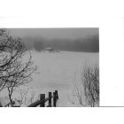 Burnsville: Frozen pond, dog park and fog