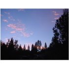 Murphys: Sunrise from our house in Murphys Diggins Senior Mobile Home park in Murphys, CA