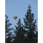 Truckee: View from my backyard as a hot air balloon rises in the early morning
