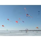 Clear Lake: Kite show in February