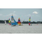 Clear Lake: Sail Boat Races
