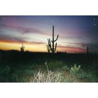 Tucson: : N-W during a beautiful sunset, on Picture Rock road (Saguaro Nat'l Monument West)